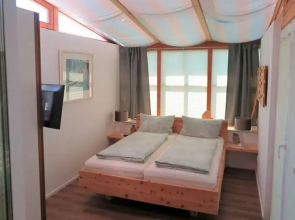 Dennenboomdroom