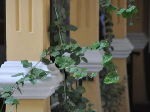 Antik Han Hotel - Special Class