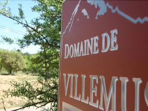 Domaine de Villemus Le gîte