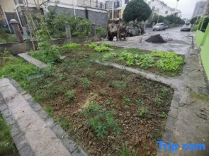 Longjia Quadrangle Inn Homestay