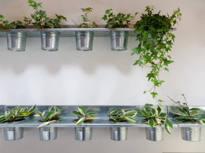 Pietranera Apartments