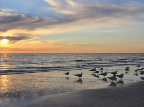 Madeira Bay Resort by Teeming Vacation Rentals, Madeira Beach