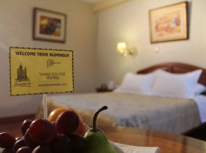 Hotel Manhattan Inn Airport