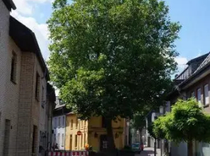 Ferienwohnung Haagedoernchen