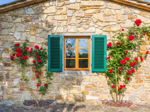 House Casa 360 Greve in Chianti