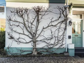 Llety Brynawel Guest House
