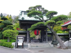 Kamakura Cocon