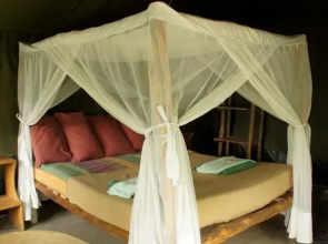 Ol Mesera Tented Camp