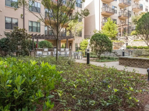Updated Midtown Apartments