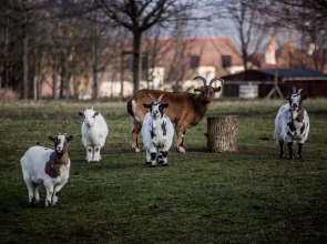 Campanile Val de France
