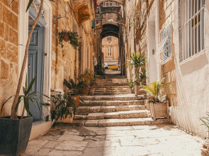 Cornelius Valletta Properties