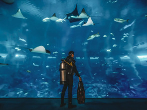 Resorts World Sentosa - Equarius Hotel