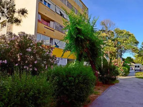 Apartment Sunny