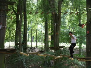 Woody Park