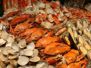 Felicity Hotel Shenzhen