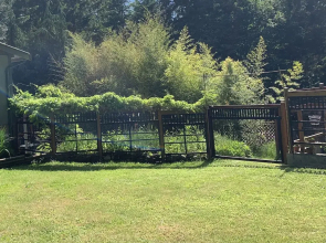 Salt Spring Carriage House B&B