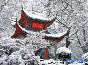 Siman Light Luxury Hotel Changsha Wuyi Square