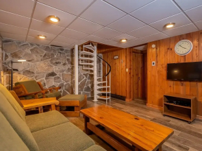 Ski Shore House