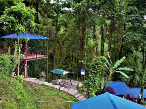 Jungle Crown Organic Homestay