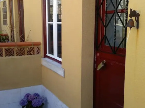 Cats House