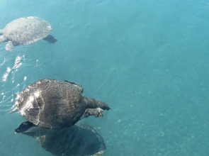 Thermemaris Thermal & Spa Resort