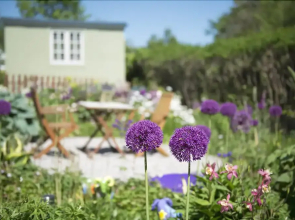 The Mount Self Catering