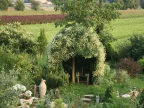 A La Provencale
