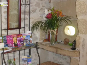 La Maison des Papillons bleus