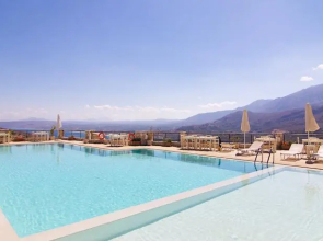 Olive Holly Ground - Morfi Village