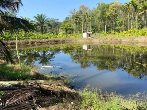 Backpacker's Nature Lodge In Theralu