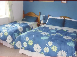 The Yellow Rose B&B