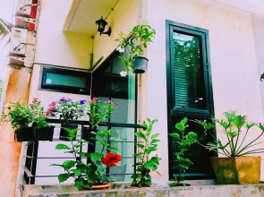 Wassana Sitdharma Guesthouse