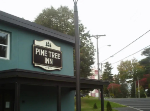 Pine Tree Inn