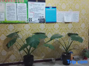 Guantao 24 Point Express Hotel