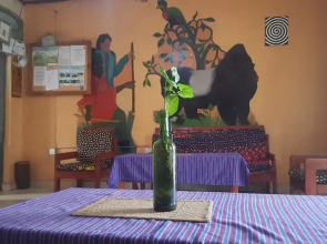 Golden Monkey Guest House