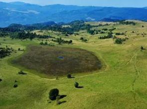 Pensiunea Tincu