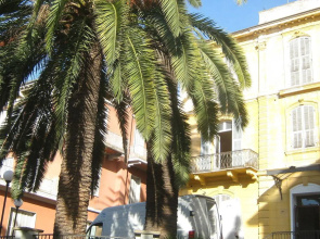 Hotel Villa Maria