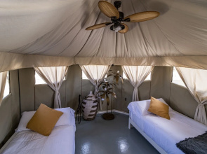 El Toril Glamping Experience