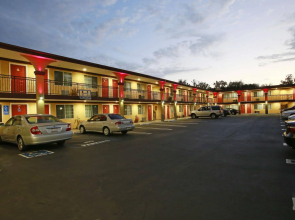 Sky Palm Motel