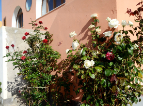 Dammusi Vicolo Vecchio