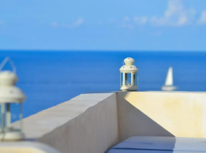 Radyshams Dammusi Le Palme & Bait