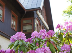 Berghotel Friedrichshöhe