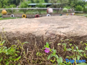 Yuyao Yijia Homestay (Yuyao Siming Lake Scenic Area)