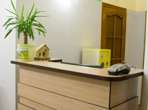 Olive Hostel