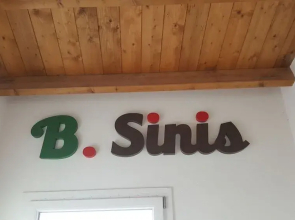 B.Sinis
