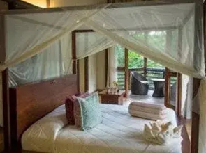 La Selva Amazon Ecolodge and Spa