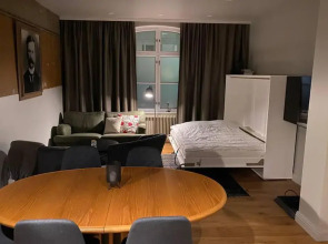 Luxury Apartment in the center