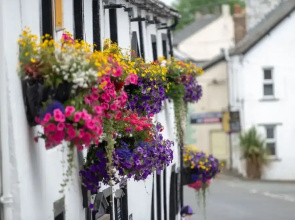 The Horse & Farrier Inn and The Salutation Inn