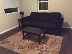 nelson airbnb