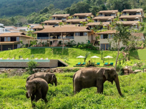 Wild Cottages Elephant Sanctuary Resort